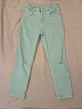 Pilcro by Anthropologie Mint Green High-Rise Slim Jeans